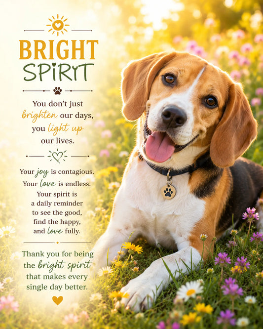 Beagle Ready