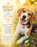 Beagle Ready