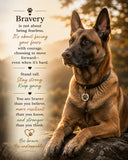 Bel. Brave Ready