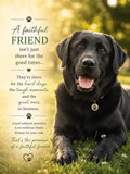 Black Lab
