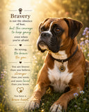 Boxer-Brave Ready