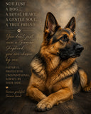 German Shepard 2 Ready