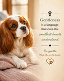 Spanial Gentle Ready