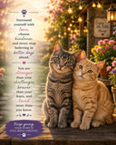 Two Cats Ready
